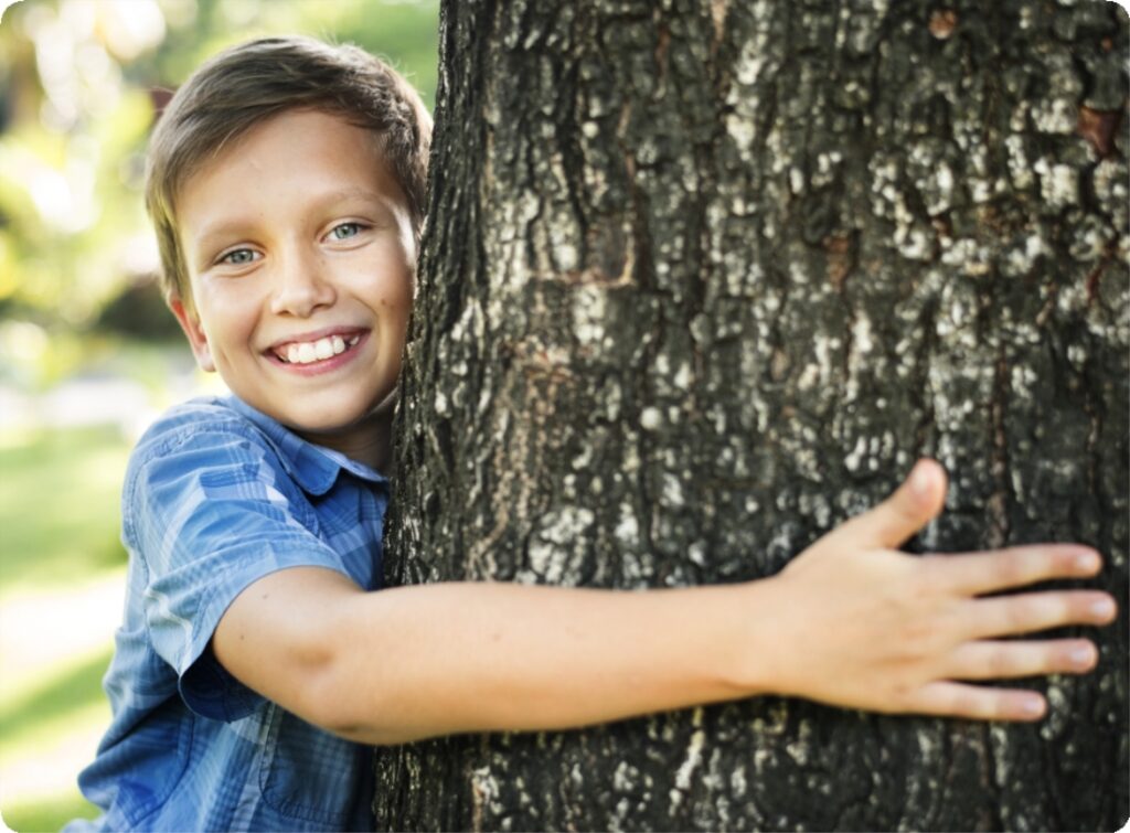 Bomen voor Bijgaarden