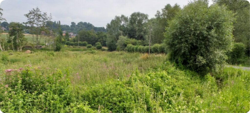 Nieuwe bos in Itterbeek krijgt de naam Mullebos