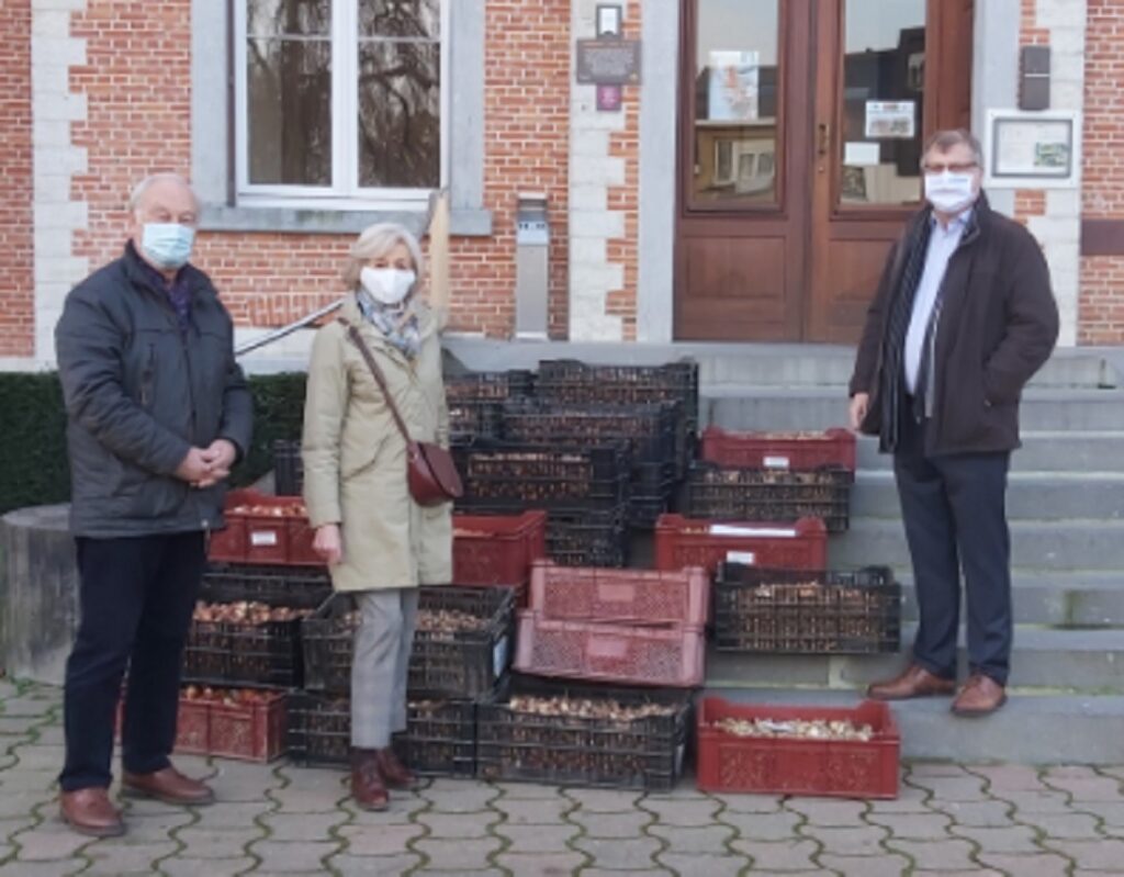 Kasteel Groot-Bijgaarden schenkt opnieuw 10.000 bloembollen aan de gemeente Dilbeek